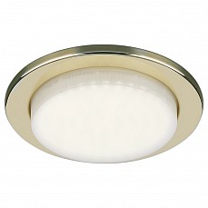 Встраиваемый светильник Elektrostandard 1035 a040749