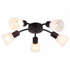 Потолочная люстра Escada Basic 23 205/5PL