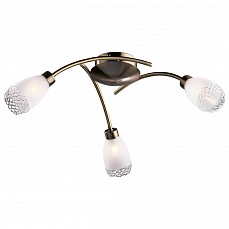 Потолочная люстра Odeon Light Lerta 1803/3C