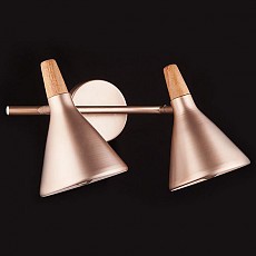 Спот Eurosvet 70050 70050/2 перламутровое золото