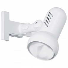 Настольная лампа офисная Eglo Manhatten 81061