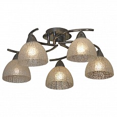 Люстра на штанге Lussole Zungoli LSF-1603-05