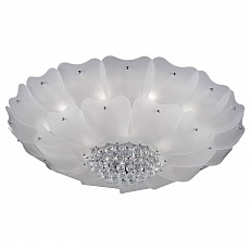 Накладной светильник Lightstar Lobo 804070