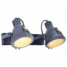 Спот Arte Lamp 9178 A9178AP-2GY
