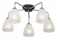 Потолочная люстра Vitaluce  V4952-9/5PL