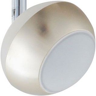 Спот TopLight Doreen TL1241Y-03SN