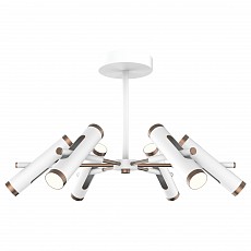 Люстра на штанге Favourite Duplex 2325-12U