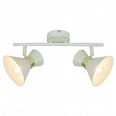 Спот Arte Lamp Baltimore A1406AP-2WG