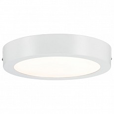 Накладной светильник Paulmann Lunar 70642