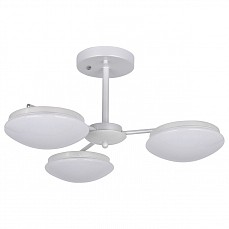 Люстра на штанге F-promo Ledante 2475-3P