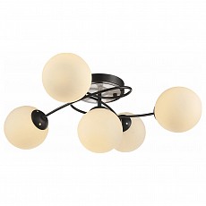 Потолочная люстра ST-Luce Soltanto SL179.102.05