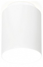 Накладной светильник Ambrella Light TN TN261