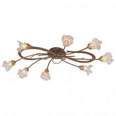 Потолочная люстра Odeon Light Alba 1365/8A