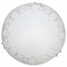 Накладной светильник Arte Lamp Symphony A4020PL-1CC