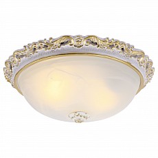 Накладной светильник Arte Lamp Torta A7152PL-2WG