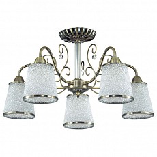 Люстра на штанге Lumion Bruni 3226/5C