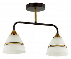 Светильник на штанге Lumion Nettie 5214/2CA