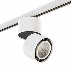 Светильник на штанге Lightstar Forte Muro A3T214816