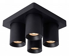 Спот Lucide Nigel 09929/20/30