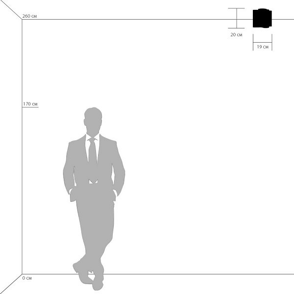 Накладной светильник Lightstar Nubi 802015