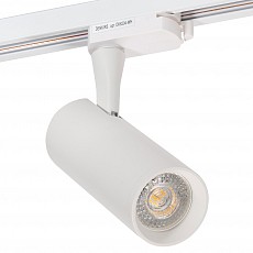 Светильник на штанге Denkirs DK620 DK6204-WH