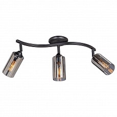 Спот Vitaluce 4315 V4315-1/3PL