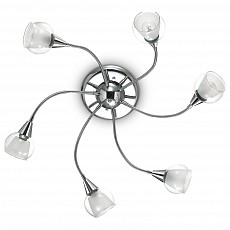 Потолочная люстра Ideal Lux Tender TENDER PL6