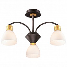 Люстра на штанге Odeon Light Tanais 2624/3C