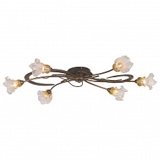 Потолочная люстра Odeon Light Alba 1365/6A