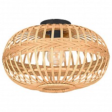 Накладной светильник Eglo Amsfield 43723