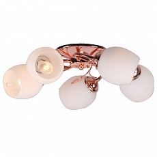 Потолочная люстра Imex MD.0403 MD.0403-5-S PGD