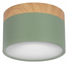 Накладной светильник Loft it Grape 10162 Green