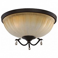 Накладной светильник L'Arte Luce Chalet L17853.03