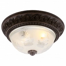 Накладной светильник Arte Lamp Piatti A8006PL-2CK
