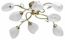 Потолочная люстра MW-Light Моника 14 372014108
