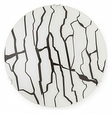 Накладной светильник TopLight Osd TL9232Y-02WH