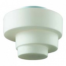 Накладной светильник ST-Luce Bagno SL499.502.01