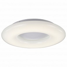 Накладной светильник ST-Luce Albo SL902.552.01D