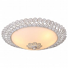 Накладной светильник Arte Lamp Fleece A4554PL-2WG