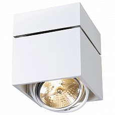 Накладной светильник SLV Kardamod 117121