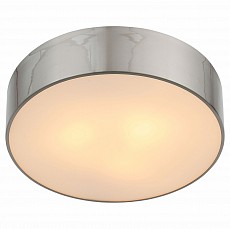 Накладной светильник ST-Luce Bagno SL468.502.03