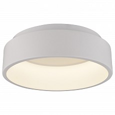 Накладной светильник Arte Lamp 624 A6245PL-1WH