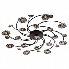 Потолочная люстра MW-Light Адриатика 280011517