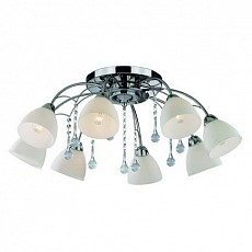 Потолочная люстра Favourite Ideal 2603-8U