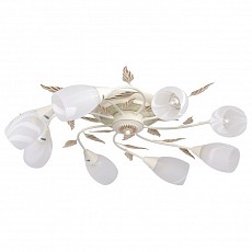 Потолочная люстра F-promo Plato 2444-8U