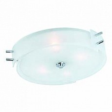 Накладной светильник ST-Luce Heggia SL484.502.04