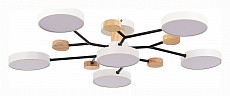 Потолочная люстра EVOLUCE Faema SLE6006-502-06