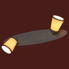 Спот Lussole Fossombrone LSL-2301-02