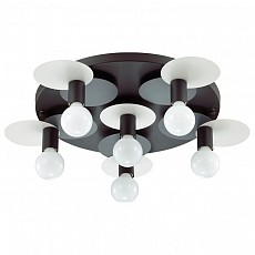 Потолочная люстра Lumion Aloy 3783/6C