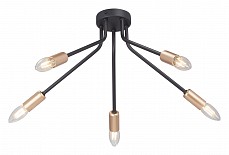 Потолочная люстра Vitaluce V3020 V3020-1/5PL